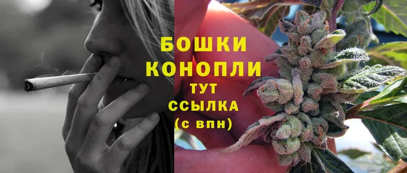 Бошки марихуана THC 21%  наркотики  Жирновск 